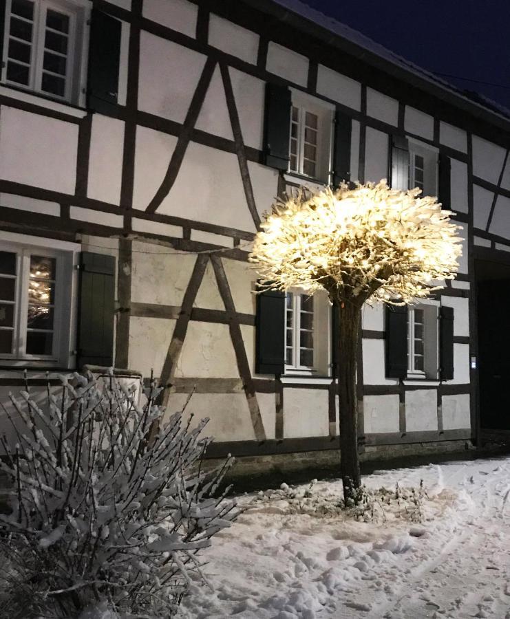 Gemuetliche Fachwerkwohnung Alfter Dış mekan fotoğraf