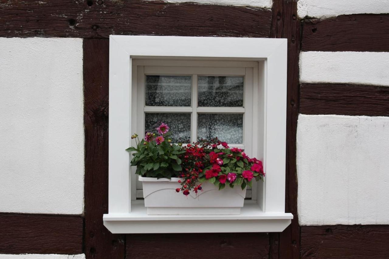 Gemuetliche Fachwerkwohnung Alfter Dış mekan fotoğraf
